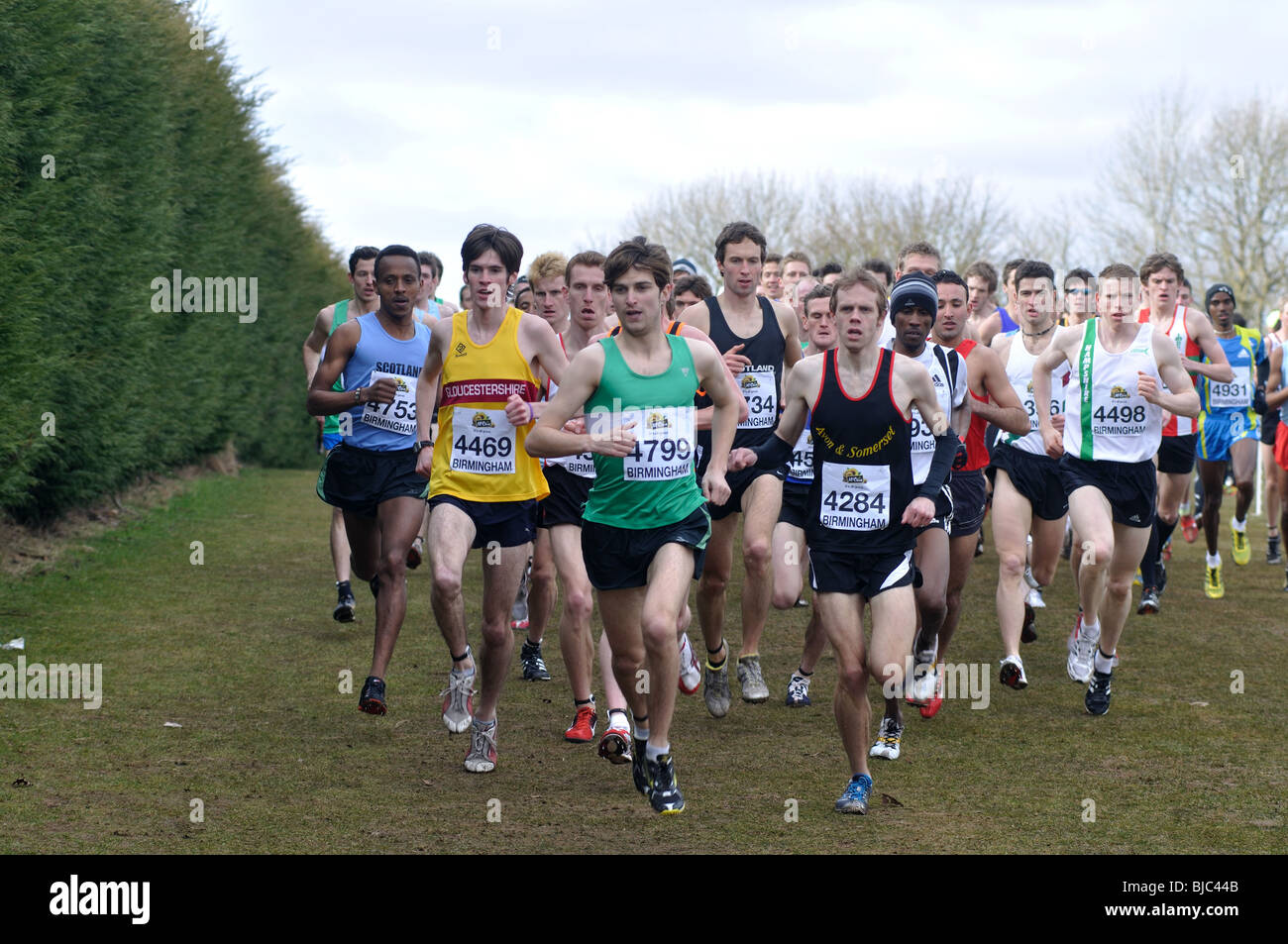 Men`s cross-country running race, Cofton Park, Birmingham, UK Stock Photo
